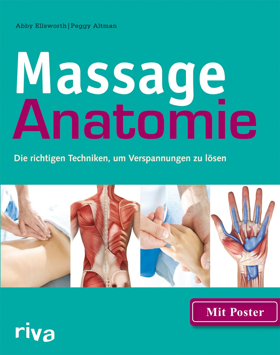 massage anatomie buch