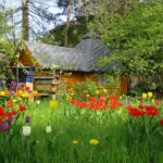 Massagehaus im Sommer
